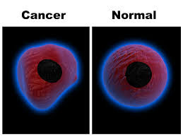 Célula cancerígena e célula normal